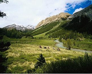 《第一后裔》玩家流失超95% 大家抱怨游戏太乏味