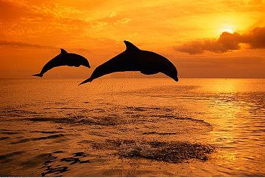 《公民沉睡者2》追加登陆Xbox Series X|S 首发加入XGP